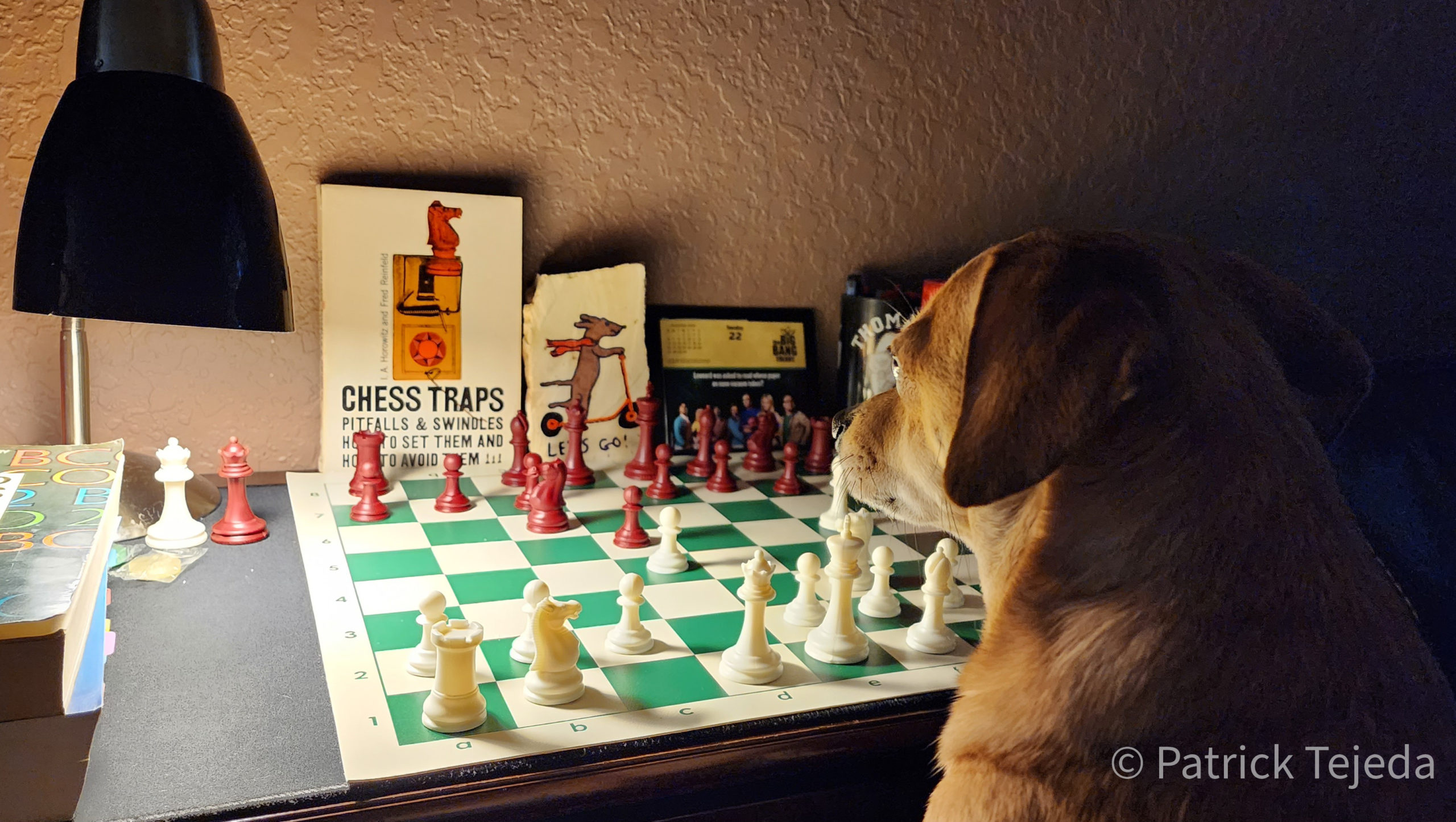 Emory Tate, Chess Musings