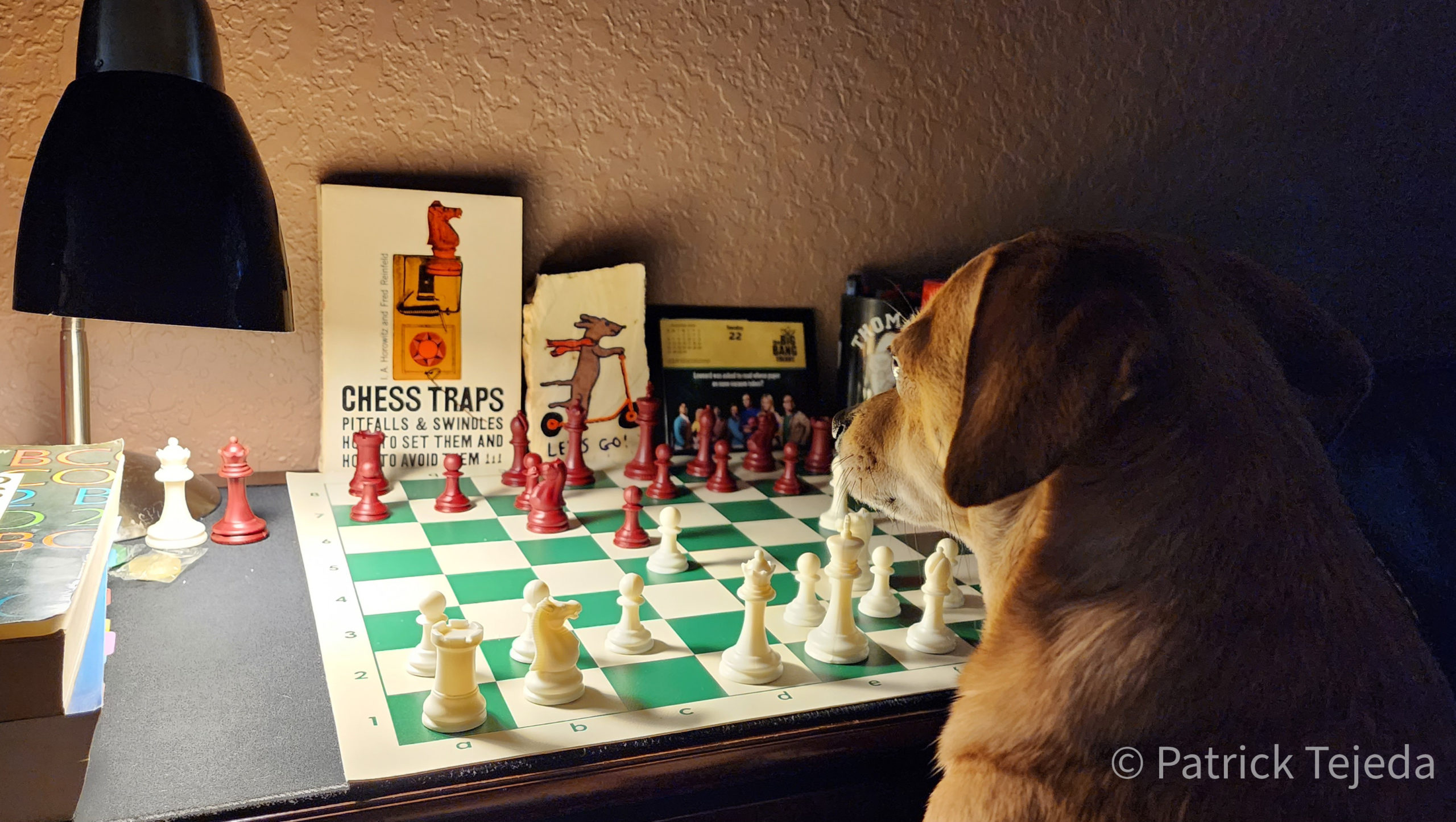 Boris Spassky Jr. Visits the WCHOF, Photo by Austin Fuller