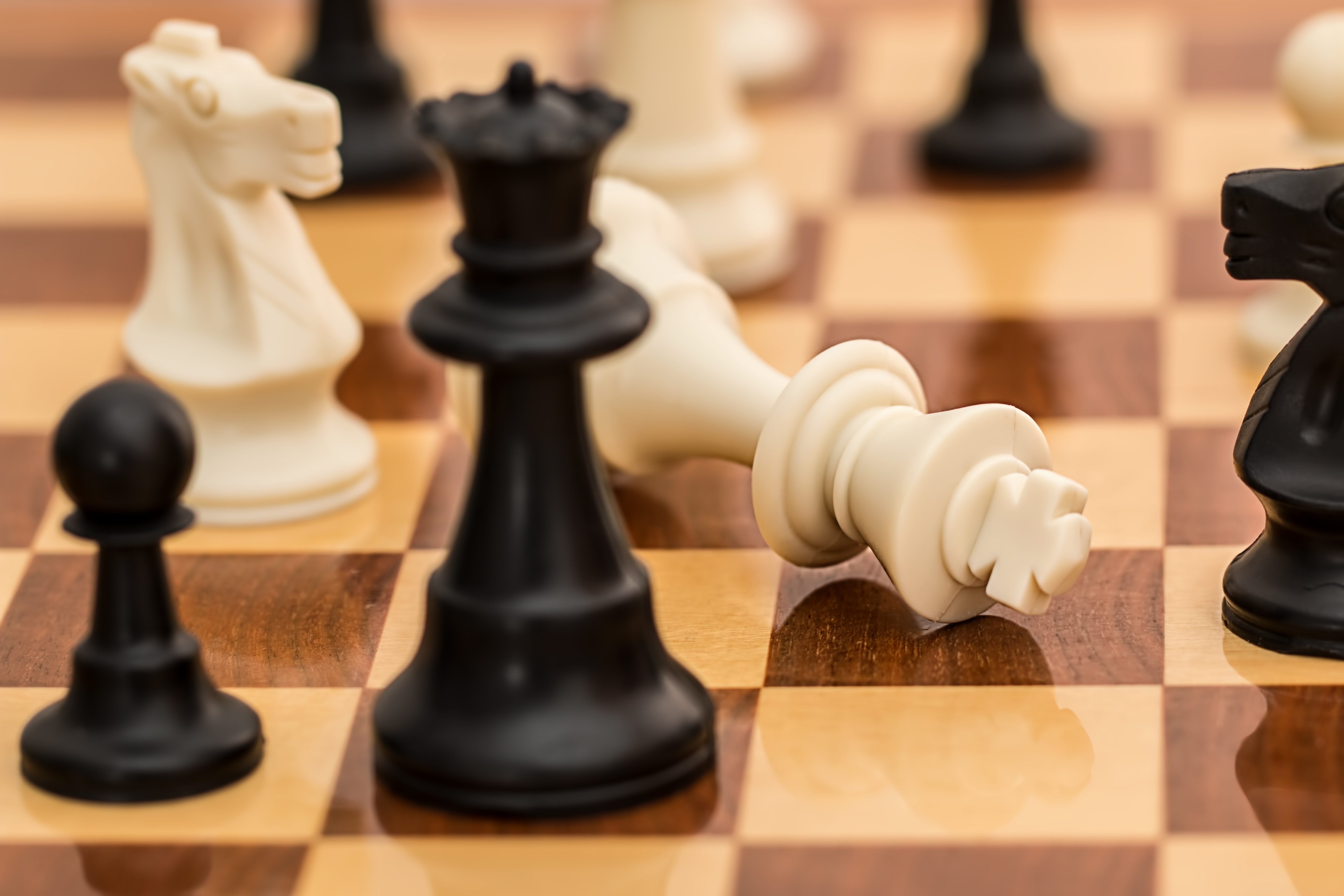 Chess Science in the Making - Chessable Blog